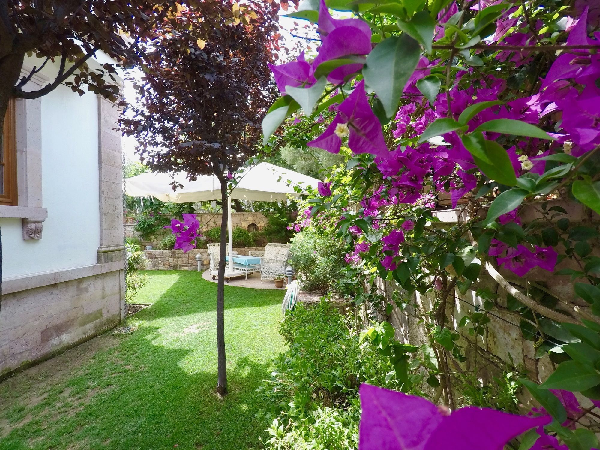 Tas Bahce Hotel Cunda Ayvalı Εξωτερικό φωτογραφία